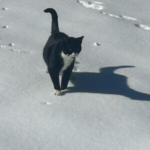 Meet your Posher, Erica